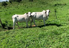 Foto 1 de Fazenda/Sítio à venda, 9110000m² em Centro, Rondonópolis