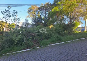 Foto 1 de Lote/Terreno à venda, 160m² em Parque, Farroupilha