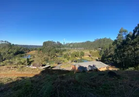 Foto 1 de Fazenda/Sítio com 4 Quartos à venda, 34000m² em , Doutor Pedrinho