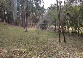 Foto 1 de Fazenda/Sítio com 3 Quartos à venda, 180m² em Zona Rural, Campo Alegre