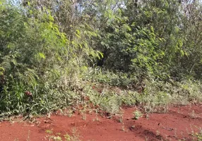 Foto 1 de Lote/Terreno à venda em Centro, Ibiporã