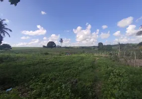 Foto 1 de Fazenda/Sítio com 2 Quartos à venda, 25000m² em Centro, Mamanguape