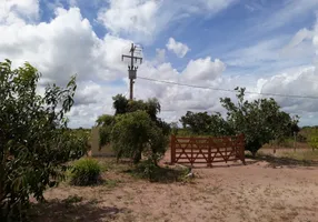 Foto 1 de Fazenda/Sítio com 3 Quartos à venda, 3000m² em Centro, Ceará Mirim