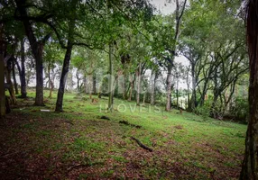 Foto 1 de Fazenda/Sítio à venda, 91448m² em Area Rural de Fazenda Rio Grande, Fazenda Rio Grande