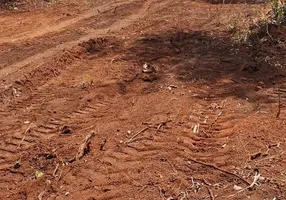 Foto 1 de Fazenda/Sítio com 7 Quartos à venda em Area Rural de Palmas, Palmas