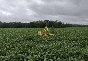 Foto 1 de Fazenda/Sítio com 1 Quarto à venda, 200m² em Zona Rural, Paranatinga