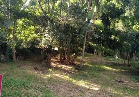 Foto 1 de Lote/Terreno à venda, 800m² em Rasa, Ponte Nova