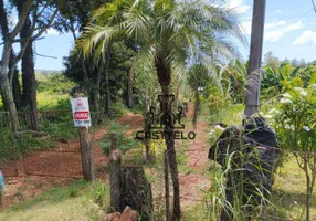 Foto 1 de Fazenda/Sítio com 3 Quartos à venda, 5000m² em Usina Três Bocas, Londrina