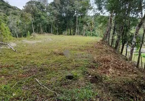 Foto 1 de Fazenda/Sítio com 2 Quartos à venda, 100m² em Centro, Juquitiba