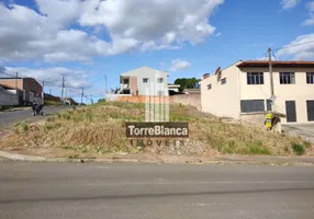 Foto 1 de Lote/Terreno para alugar, 10m² em Uvaranas, Ponta Grossa