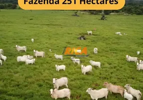 Foto 1 de Fazenda/Sítio à venda, 2510000m² em Area Rural de Porto Velho, Porto Velho