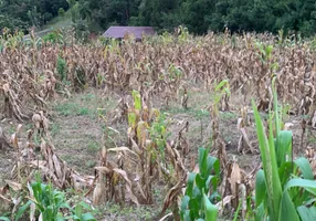 Foto 1 de Fazenda/Sítio à venda, 24000m² em Zona Rural, Mandirituba