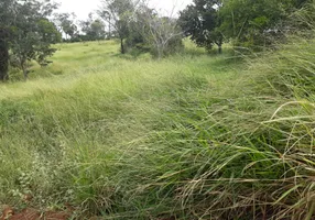 Foto 1 de Lote/Terreno à venda, 20000m² em Zona Rural, Jequitibá