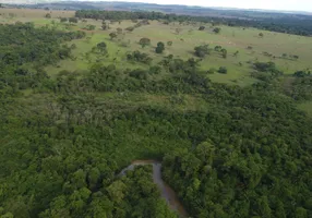 Foto 1 de Fazenda/Sítio à venda, 20000m² em Setor Central, Araçu