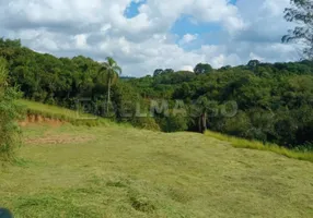 Foto 1 de Lote/Terreno à venda, 3000m² em Curral, Ibiúna