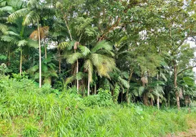 Foto 1 de Fazenda/Sítio à venda, 20000m² em Centro, Benedito Novo