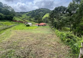 Foto 1 de Lote/Terreno à venda, 724m² em Zona Rural, Delfim Moreira