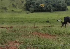 Foto 1 de Fazenda/Sítio à venda, 157300m² em Zona Rural, São José do Alegre