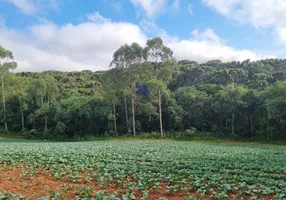 Foto 1 de Fazenda/Sítio com 1 Quarto à venda, 72600m² em Tindiquera, Araucária