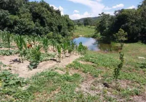 Foto 1 de Fazenda/Sítio com 3 Quartos à venda, 250m² em Zona Rural, Goianésia