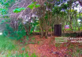 Foto 1 de Fazenda/Sítio com 40 Quartos à venda, 3000m² em Caçapava Velha, Caçapava