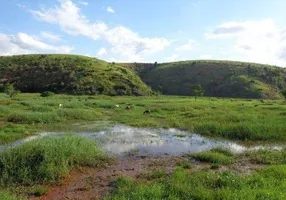 Foto 1 de Fazenda/Sítio com 1 Quarto à venda, 130m² em Area Rural de Linhares, Linhares