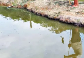 Foto 1 de Fazenda/Sítio à venda, 600m² em , Maripá de Minas