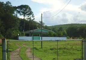 Foto 1 de Fazenda/Sítio com 3 Quartos à venda, 160m² em Centro, Campo do Tenente