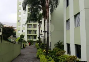Foto 1 de Apartamento com 3 Quartos à venda, 67m² em Mandaqui, São Paulo