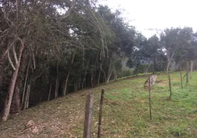 Foto 1 de Lote/Terreno à venda, 1600m² em Centro, Santo Antônio do Pinhal