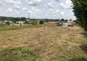 Foto 1 de Lote/Terreno à venda, 576m² em Centro, Campo do Tenente