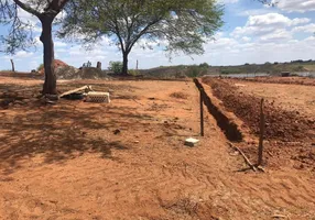 Foto 1 de Fazenda/Sítio com 3 Quartos à venda, 95000m² em Zona Rural, São Paulo do Potengi