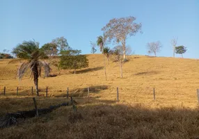 Foto 1 de Fazenda/Sítio à venda em Setor Central, São Luís de Montes Belos