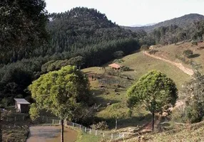 Foto 1 de Fazenda/Sítio à venda, 162480m² em Santa Teresa, São Pedro de Alcântara