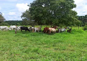 Foto 1 de Fazenda/Sítio com 3 Quartos à venda, 3100000m² em , Paraíso do Tocantins