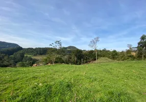 Foto 1 de Fazenda/Sítio à venda, 47700m² em Pinhal Alto, Nova Petrópolis
