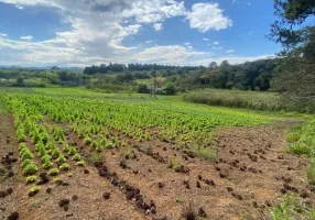 Foto 1 de Lote/Terreno à venda, 500m² em Vale Pessegos, Mairinque