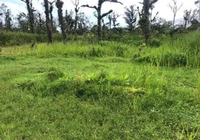 Foto 1 de Lote/Terreno à venda, 250m² em Jussara, Mongaguá