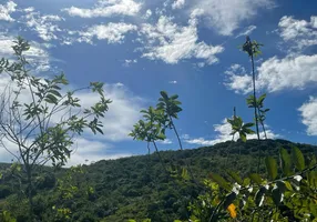 Foto 1 de Fazenda/Sítio com 4 Quartos à venda, 38000m² em Vila Jose Mariano, Ribeirão