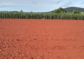 Foto 1 de Fazenda/Sítio à venda, 2000m² em Zona Rural, Caturaí