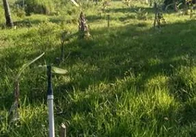 Foto 1 de Fazenda/Sítio com 4 Quartos à venda, 30000000m² em Zona Rural, Pureza