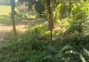 Foto 1 de Lote/Terreno à venda, 30000m² em Lageado, Campo Alegre