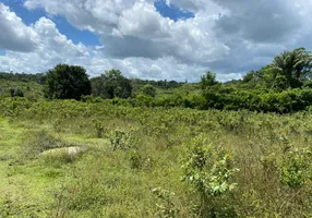 Foto 1 de Fazenda/Sítio com 3 Quartos à venda, 7250000m² em Centro, Bragança