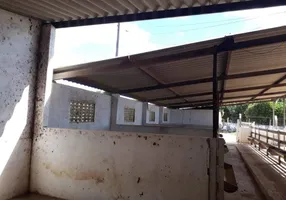 Foto 1 de Fazenda/Sítio com 3 Quartos à venda, 80000m² em Centro, São Pedro