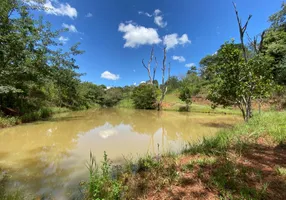 Foto 1 de Fazenda/Sítio com 1 Quarto à venda, 121000m² em Zona Rural, Bela Vista de Goiás