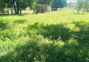 Foto 1 de Fazenda/Sítio com 3 Quartos à venda, 140000m² em Zona Rural, Padre Bernardo