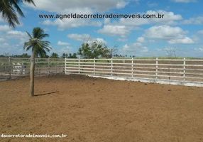 Fazenda/Sítio à venda, 82m² em Monte Alegre, Monte Alegre - imagem 1 Foto 1 de Fazenda/Sítio à venda, 82m² em Monte Alegre, Monte Alegre