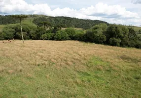 Foto 1 de Lote/Terreno à venda, 20000m² em , Urupema