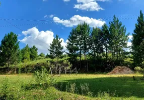 Foto 1 de Fazenda/Sítio com 1 Quarto à venda, 10m² em Vila David Antonio, Campo Largo