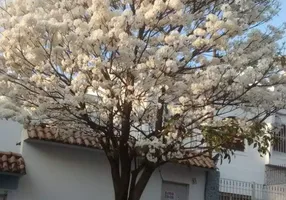 Foto 1 de Sobrado com 3 Quartos à venda, 350m² em Cambuci, São Paulo